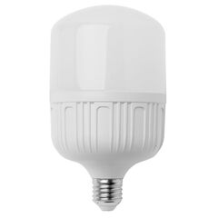 Lamp New Light LED T100 E27 30W 4000K