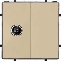 როზეტი Style Socket ერთ სექციური TV Female ოქროსფერი
