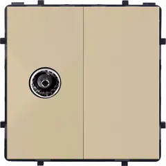 Socket Style Socket TV Female gold
