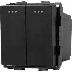 Switch Socket Style 2 2G-2W black