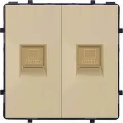 Socket Socket Internet 2 RJ45 golden