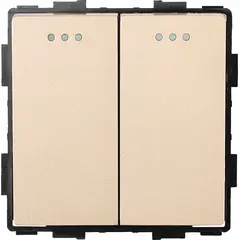 Switch Socket Style 2 2G-2W gold