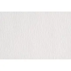 Wallpaper paintable Vilia 1062-11 1.06x25 m