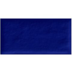 Кафель Super Ceramica AQUA COBALTO RTVO 10X20см