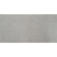 Tile Tau Ceramica PYM.DELFIS 45x90cm