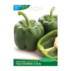 Pepper seeds Pepper YOLO WONDER (T.M.R.) 272-MAXIOr