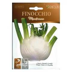 Brussels sprout seeds