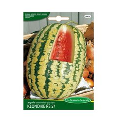 Seeds Watermelon La Semiorto Watermelon KLONDIKE RS 57 006-MAXIOr