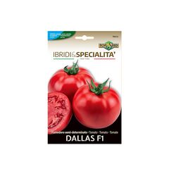 პომიდვრის თესლი TOMATO DALLAS F1 332TM-SPECIAL