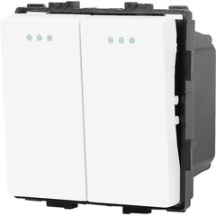 Switch Socket Style 2 2G-2W white