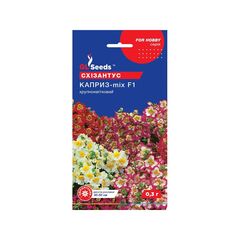 Schizanthus seeds 0.3 g