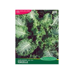Семена Капуста Curly Kale DWARF GREEN CURLED 068-MAXIOr