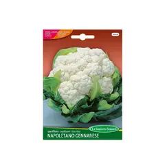 Cauliflower seeds Cauliflower NAPOLETANO GENNARESE 044-MAXIOr
