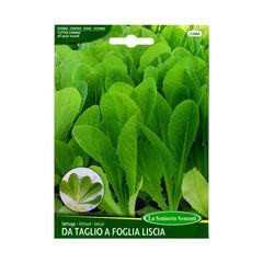 Семена салата CUTTING LETTUCE A Foglia Liscia 228-MAXIOR