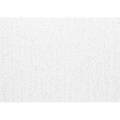 Wallpaper paintable Lanita С-90 1.06x25 m