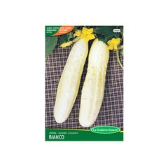 კიტრის თესლი Cucumber MEZZO LUNGO BIANCO 098-MAXIOr