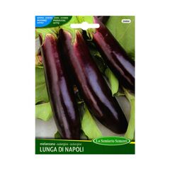 Семена баклажана Eggplant VIOLETTA LUNGA 2 244-MAXIOr