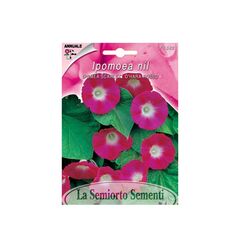 Ipomoea seeds Ipomea SCARLET O'HARA RED FI562-MAXIFlor