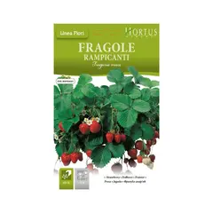 Strawberry FRAGOLE 0.15 g