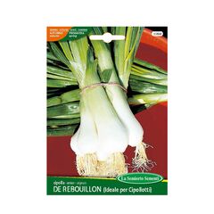 Onion seeds Onion DE REBOUILLON 158-MAXIOr