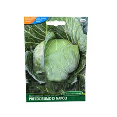 Cabbage seeds Cabbage PRECOC. DI NAPOLI 070-MAXIOr