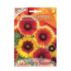 Gaillardia seeds Gaillardia PERENNE SEMPLICE IN MIX FI543-MAXIFlor