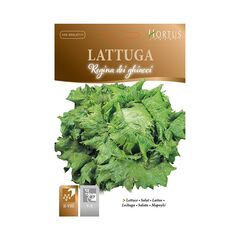 Salad seeds LATTUGA REGINA DEI GHIACCI BTS 6 g