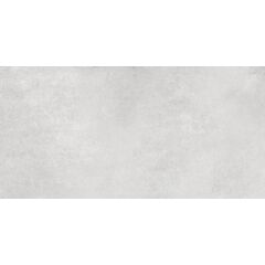 კერამოგრანიტი Emotion Ceramics Belfast Gris 300x600 მმ