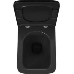Wall hung toilet Lucco Loop Black