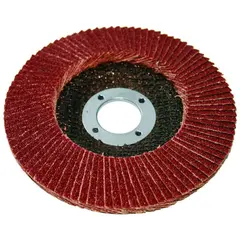 Flap disc Raider 125 mm А-80