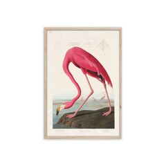 Картина на рамке Styler FP039 FLAMINGO 50X70