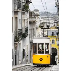 სურათი შუშაზე Styler Yellow tram GL362 50X70 სმ