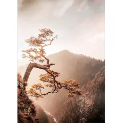 Картина на стекле Styler Brown tree GL367 50X70 см
