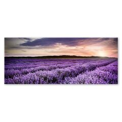 სურათი მინაზე Styler LAVENDER FIELD EX372 50X125