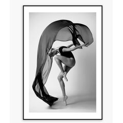 სურათი ჩარჩოში Styler AB238 DANCER 50X70