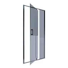 Shower door Alex Baitler AB74B100 100×200 cm darkened