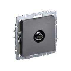 Sockets IEK TV BRITE RTV11-0-BrS end steel