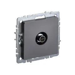 Sockets IEK TV BRITE RTV11-0-BrS end steel