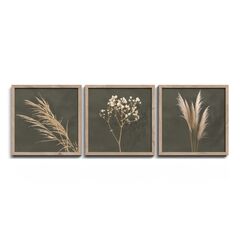 Painting Styler FR391 Pampas 30x30 cm 3pcs
