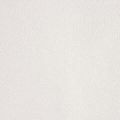 Wallpaper paintable Vilia 1008-11 1.06x25 m