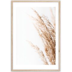 Picture in frame Styler Beige II FP070 50X70 cm