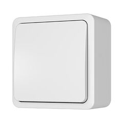 Switch Vilma P110-010 ww 1 key white