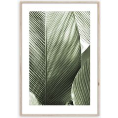Picture in frame Styler Marco BR002 50X70 cm