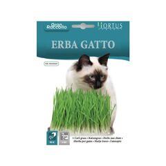 Grass seeds mix ERBA GATTO GRAN RACCOLTO 25 gr