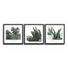 Painting Styler FR398 Plant 30x30 cm 3pcs