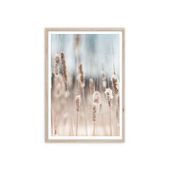 Picture in a frame Styler FP056 GRASS 50X70