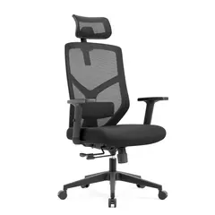 Office chair NOEL Lina-H