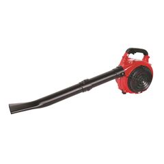 Garden vacuum cleaner gasoline Raider RD-GBV05 750W (077401)