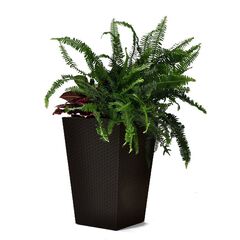 Flower pot Keter Rotang Medium Rattan Planter 55,4 l