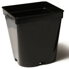Plastic pot 13x13 (black) with drainage system